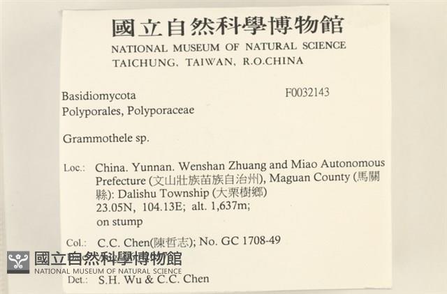 登錄號:F0032143藏品圖，第2張
