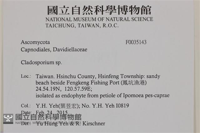 登錄號:F0035143藏品圖，第2張