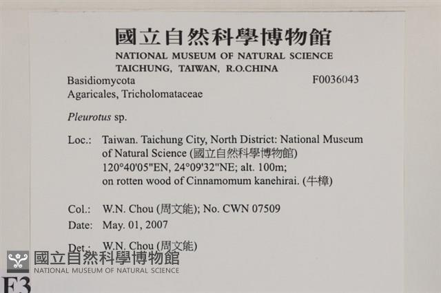 登錄號:F0036043藏品圖，第2張