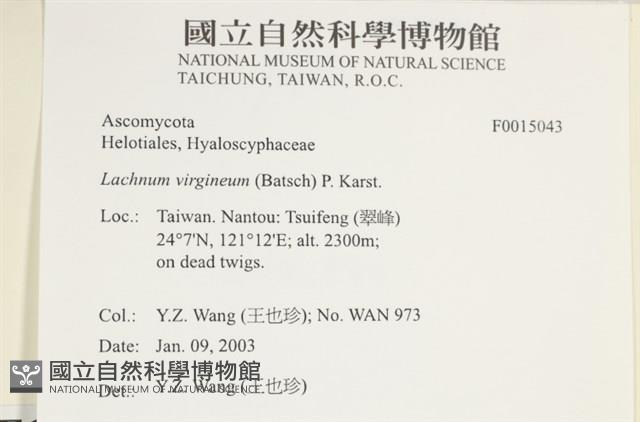 登錄號:F0015043藏品圖，第4張