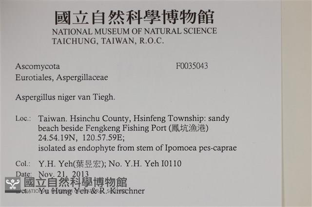 登錄號:F0035043藏品圖，第2張