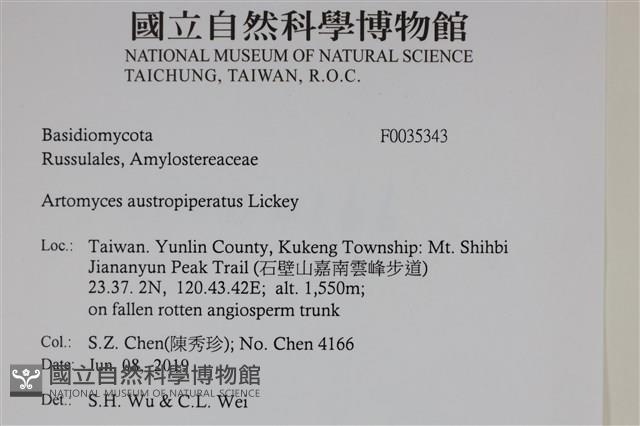 登錄號:F0035343藏品圖，第2張