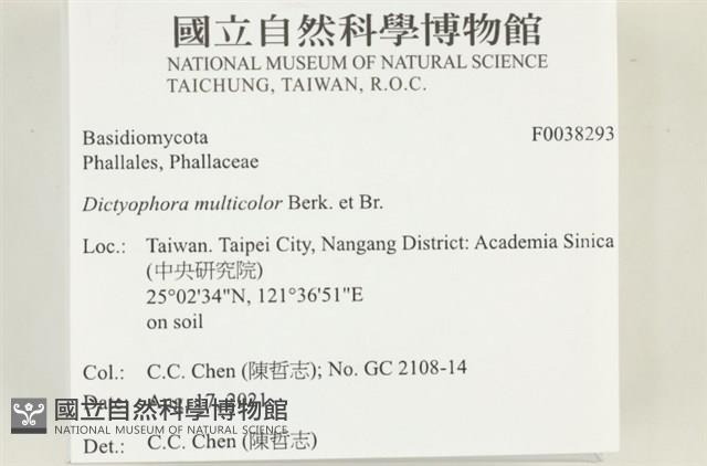 登錄號:F0038293藏品圖，第2張