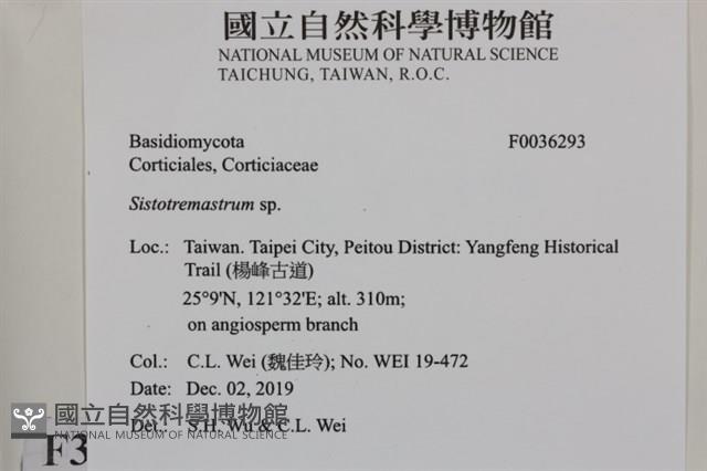 登錄號:F0036293藏品圖，第2張