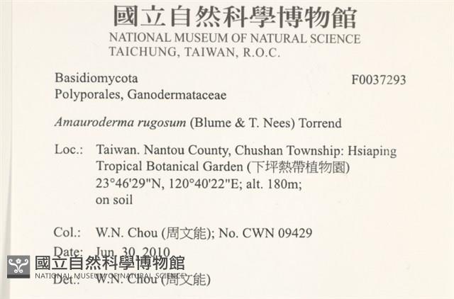 登錄號:F0037293藏品圖，第2張