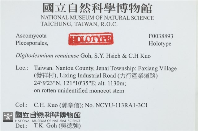 登錄號:F0038893藏品圖，第2張