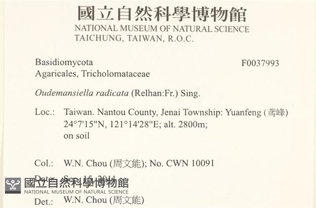 登錄號:F0037993藏品圖，第2張
