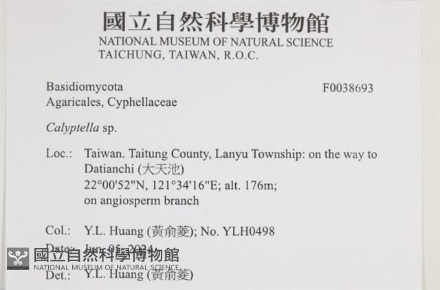 登錄號:F0038693藏品圖，第2張