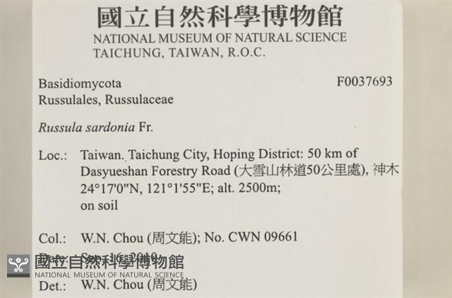 登錄號:F0037693藏品圖，第2張