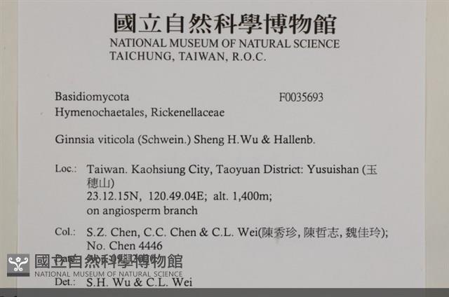 登錄號:F0035693藏品圖，第2張