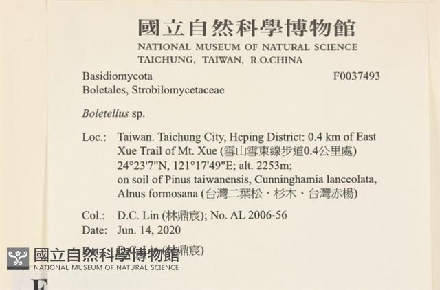 登錄號:F0037493藏品圖，第2張