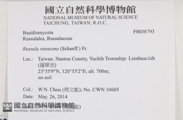 登錄號:F0038793藏品圖，第2張