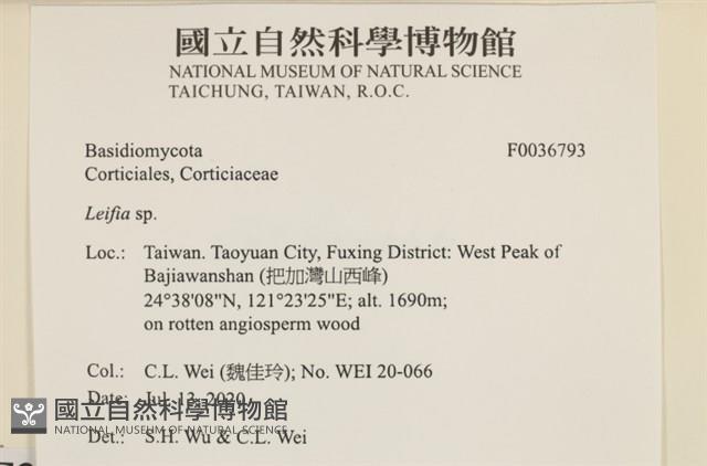 登錄號:F0036793藏品圖，第2張