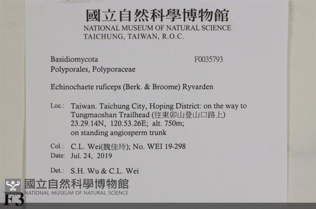 登錄號:F0035793藏品圖，第2張