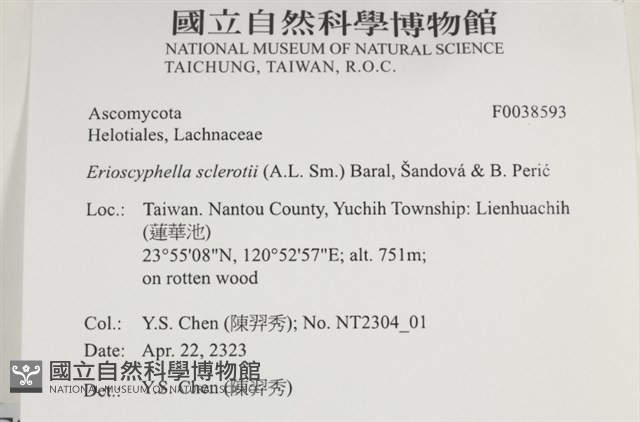 登錄號:F0038593藏品圖，第2張