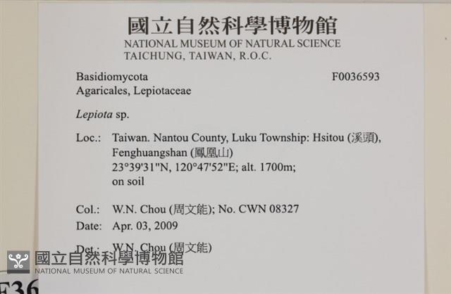 登錄號:F0036593藏品圖，第2張