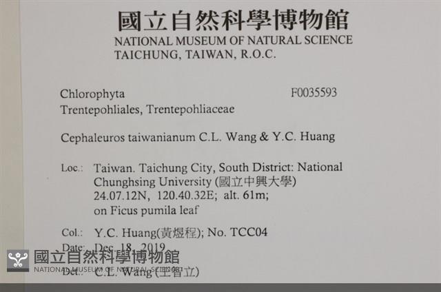 登錄號:F0035593藏品圖，第2張