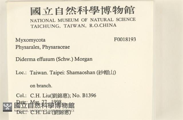 登錄號:F0018193藏品圖，第2張