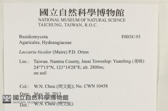 登錄號:F0038193藏品圖，第2張