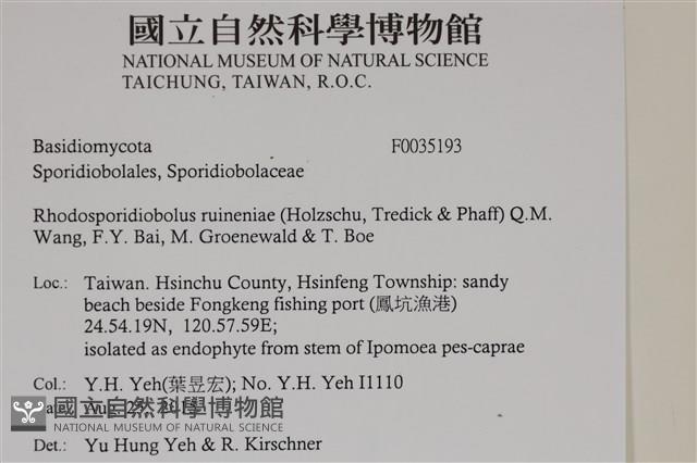 登錄號:F0035193藏品圖，第2張