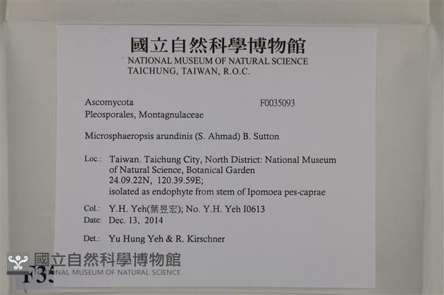 登錄號:F0035093藏品圖，第2張