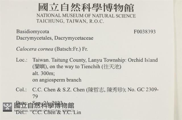 登錄號:F0038393藏品圖，第2張