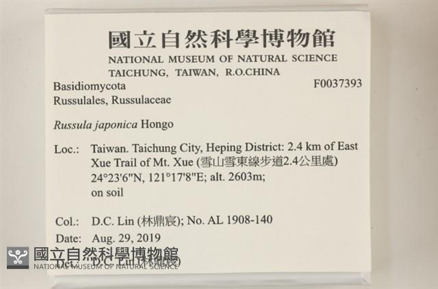 登錄號:F0037393藏品圖，第2張