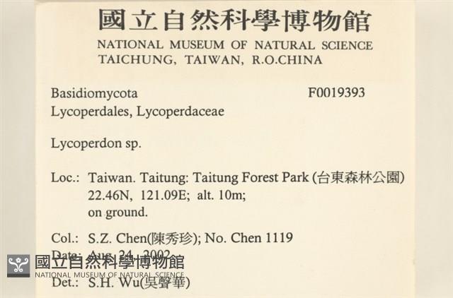 登錄號:F0019393藏品圖，第2張
