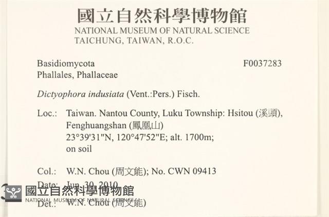 登錄號:F0037283藏品圖，第2張