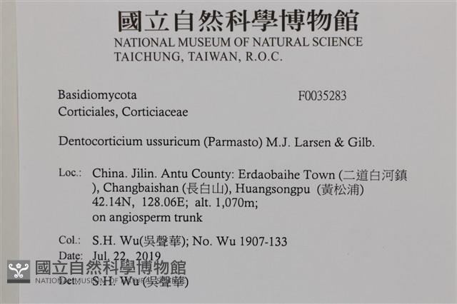 登錄號:F0035283藏品圖，第2張