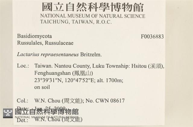 登錄號:F0036883藏品圖，第2張