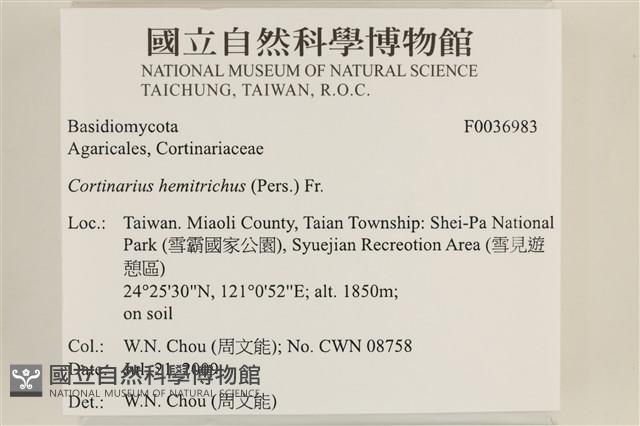 登錄號:F0036983藏品圖，第2張
