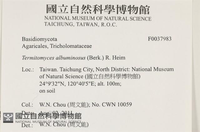 登錄號:F0037983藏品圖，第2張
