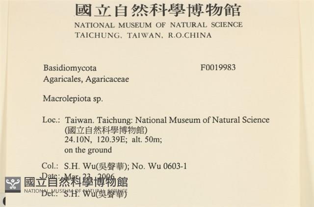 登錄號:F0019983藏品圖，第2張