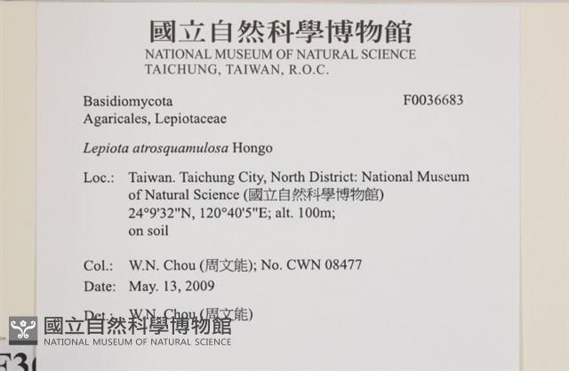 登錄號:F0036683藏品圖，第2張