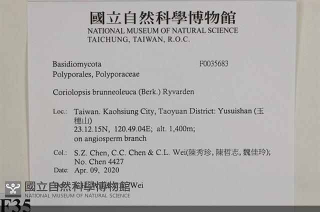 登錄號:F0035683藏品圖，第2張