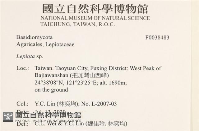 登錄號:F0038483藏品圖，第2張