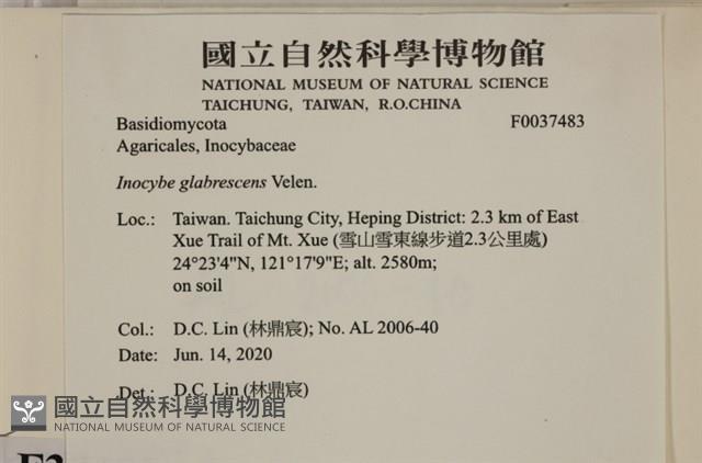 登錄號:F0037483藏品圖，第2張