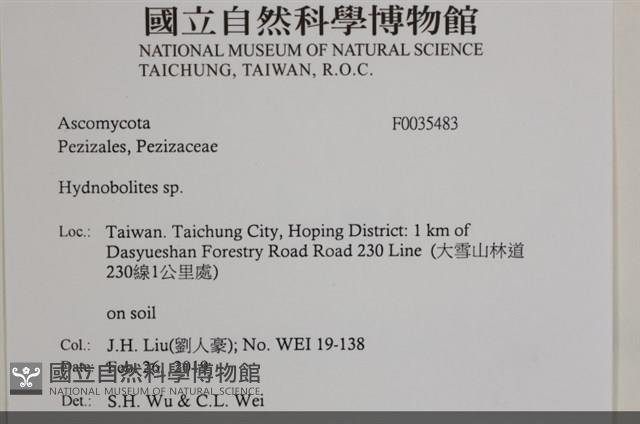登錄號:F0035483藏品圖，第2張