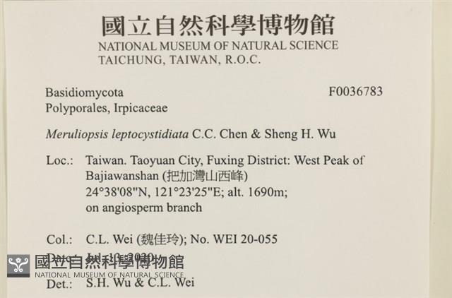 登錄號:F0036783藏品圖，第2張