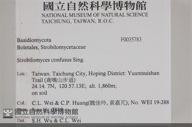 館號:F0035783藏品圖，第2張