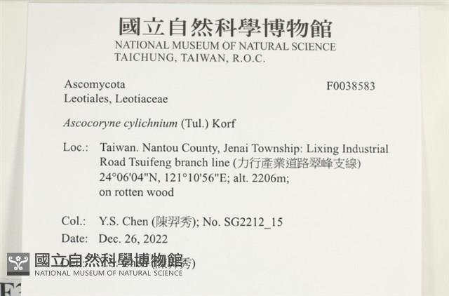 登錄號:F0038583藏品圖，第2張