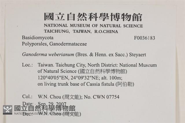 登錄號:F0036183藏品圖，第2張