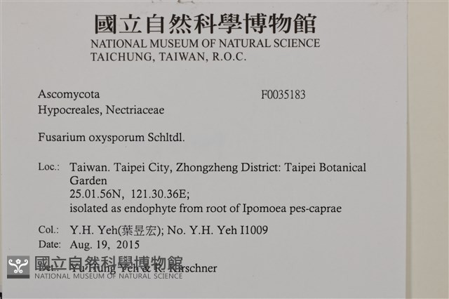 登錄號:F0035183藏品圖，第2張