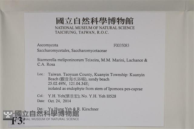 登錄號:F0035083藏品圖，第2張