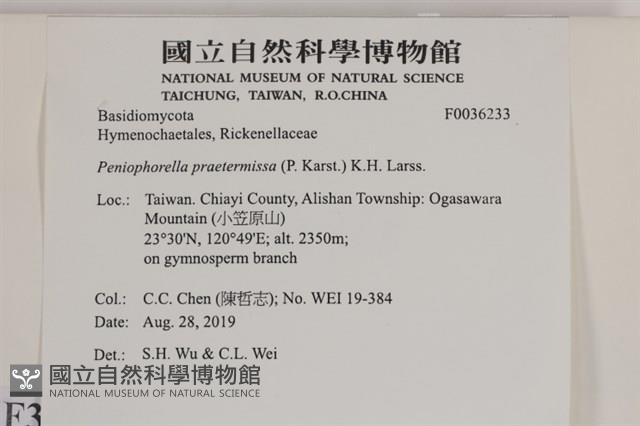 登錄號:F0036233藏品圖，第2張