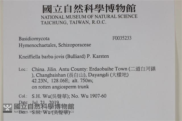 登錄號:F0035233藏品圖，第2張