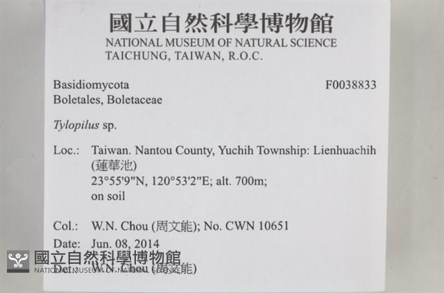 登錄號:F0038833藏品圖，第2張