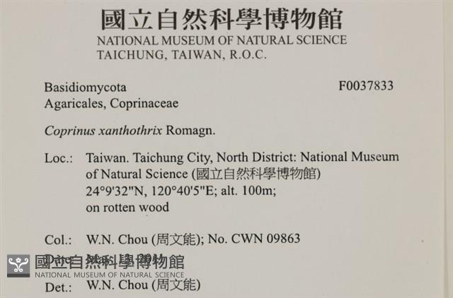 登錄號:F0037833藏品圖，第2張