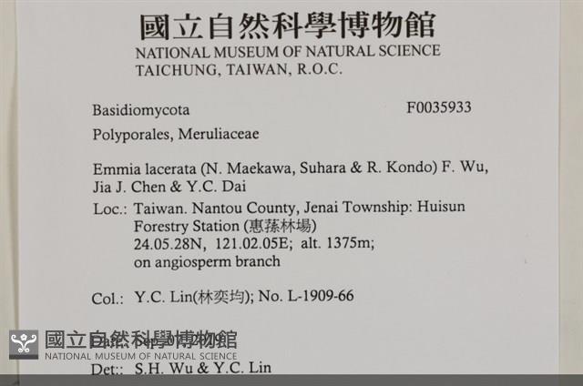 登錄號:F0035933藏品圖，第2張
